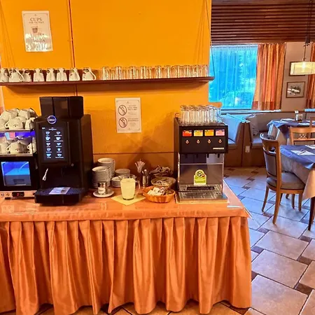 Hotel Regina Delle Dolomiti-2